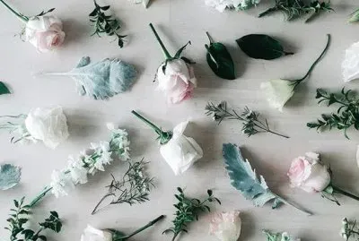 פאזל של pale flowers