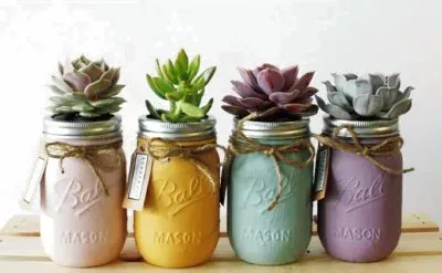 Suculentas jigsaw puzzle