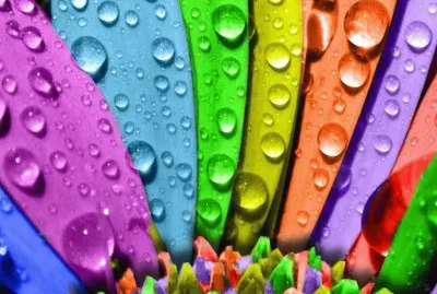 ArtÃ­sticos-Petalos jigsaw puzzle