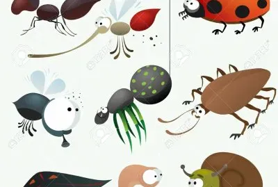 hormiga jigsaw puzzle