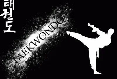 Taekwondo jigsaw puzzle