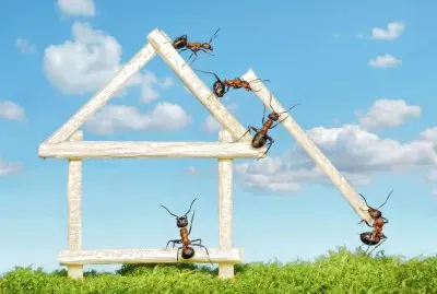 פאזל של Hormigas-Casa