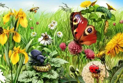 Verano-Prado jigsaw puzzle