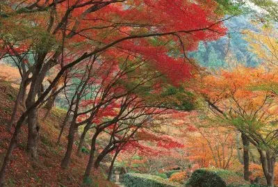 imagens jigsaw puzzle