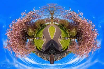 blossom world globe jigsaw puzzle