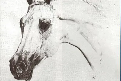 Arabian jigsaw puzzle