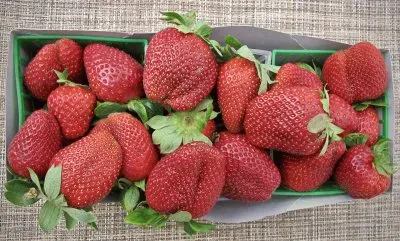 פאזל של Fresas