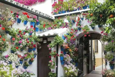 Patio(Varanda) en Cordoba