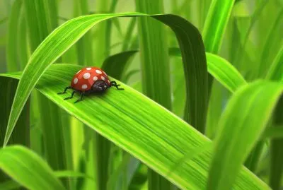 Dibujados, Naturaleza jigsaw puzzle