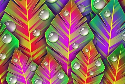 Hojas, rocÃ­o, arte.jpg