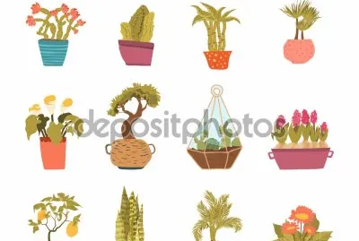 plantas jigsaw puzzle