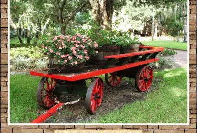 JARDÃN PARA DISFRUTAR