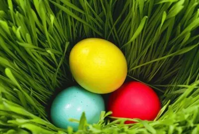 Huevos coloridos .jpg