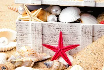 Naturaleza muerta ,Playa.jpg jigsaw puzzle