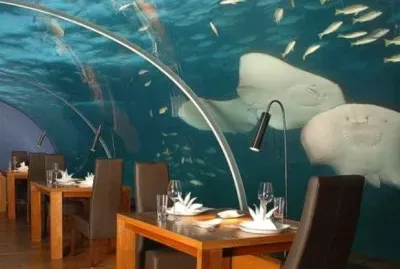 Underwater Eatery Thailand