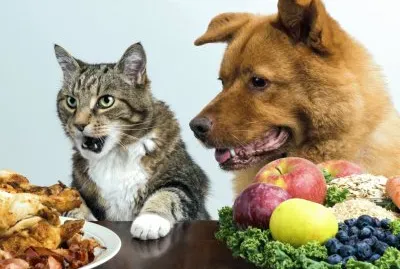Animales, Humor.jpg
