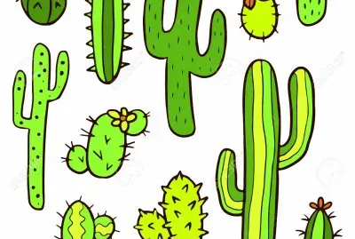 captus jigsaw puzzle