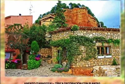 ANENTO (ZARAGOZA) â€“ TÃPICA DECORACION CON PLANTAS