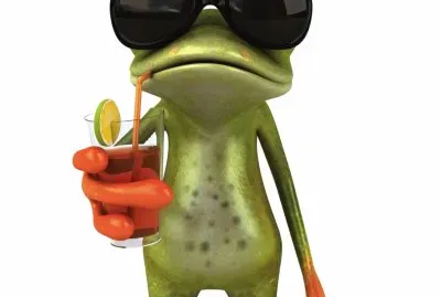 Dibujado,Rana comÃºn