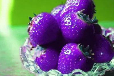 Rare Vibrant Purple Strawberries