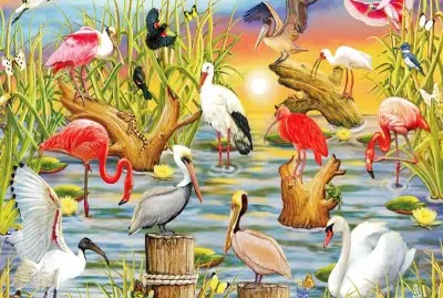 Arte Digital,Aves Acuaticas