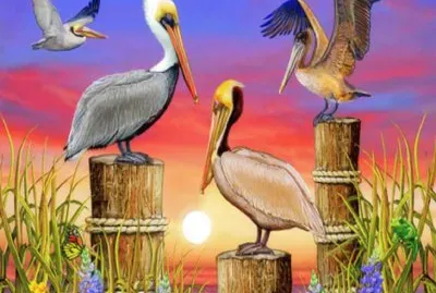 Arte Digt,Esplendor_Pelicanos