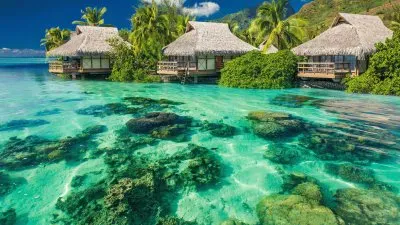 Natureza jigsaw puzzle
