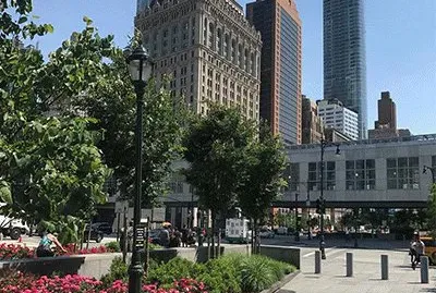 NY
