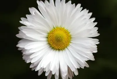 Tierra,Naturaleza,Margarita