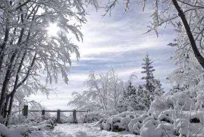 פאזל של imagens