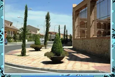TORRIJOS (TOLEDO)â€“ CALLE  MURILLO CON SUS CIPRESES