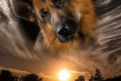 GSD