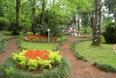 En Montecarlo. Misiones. Argentina jigsaw puzzle