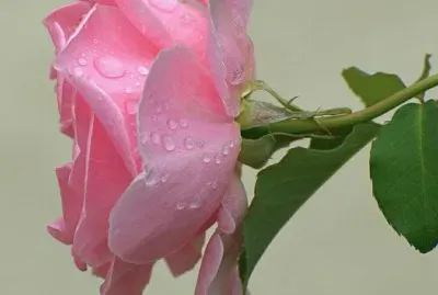 imagens jigsaw puzzle