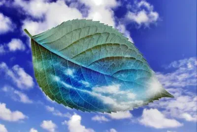 ArtÃ­stico -Hoja,Nubes jigsaw puzzle