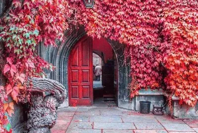 imagens jigsaw puzzle