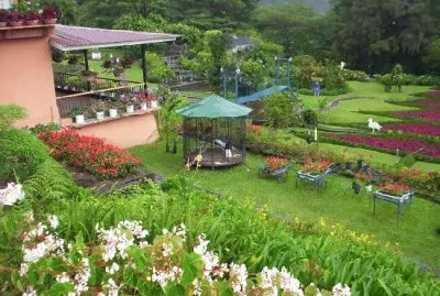 todo paisaje