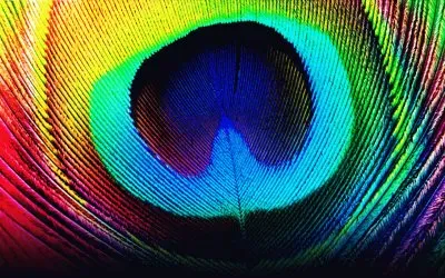 Color