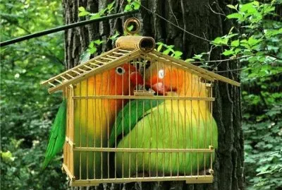 photo 8 jigsaw puzzle