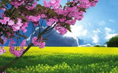 imagens jigsaw puzzle