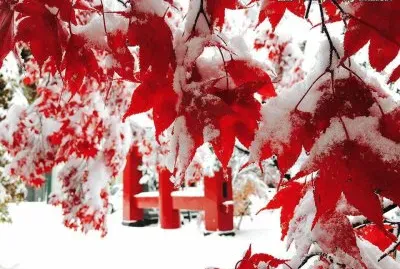 imagens jigsaw puzzle