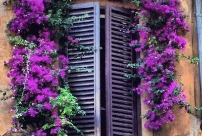 imagens jigsaw puzzle