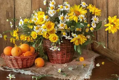 FotografÃ­a-BodegÃ³n ...png