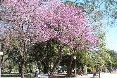 Resistencia. Chaco. Argentina