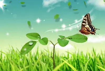 פאזל של Mariposa-Mundo-.jpg