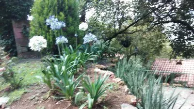 jardÃ­n jigsaw puzzle