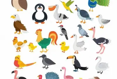 aves