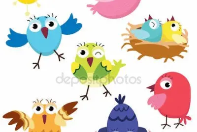 pajaro