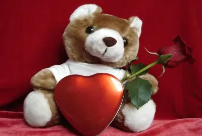 Fotografico-Osito Enamorado.jpg jigsaw puzzle