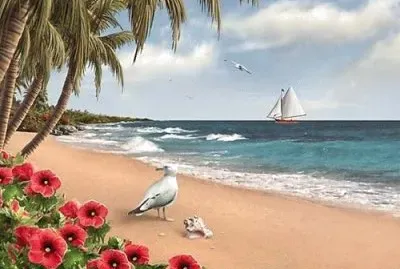 todo paisaje